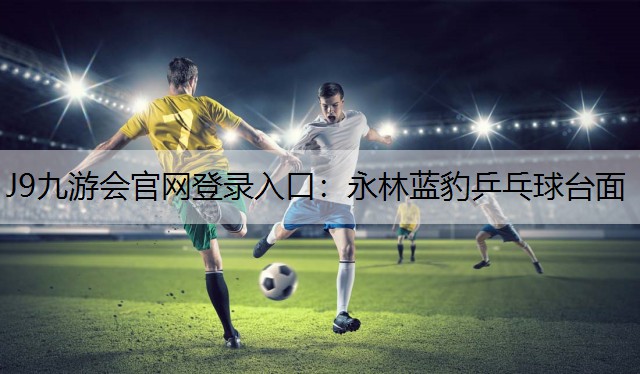 J9九游会官网登录入口：永林蓝豹乒乓球台面