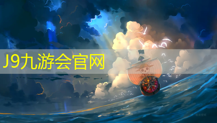 J9九游会真人游戏第一品牌：网球网袋平替