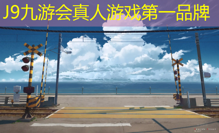J9九游会官网：诸城网球网球
