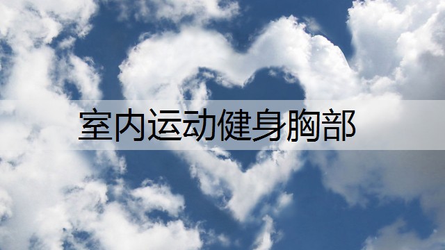室内运动健身胸部